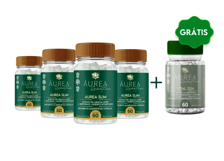 Kit com quatro frascos Aurea Slim e Vital Zen